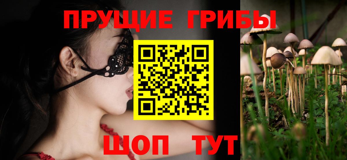 Балашиха  Псилоцибиновые грибы GOLDEN TEACHER  Вход с VPN 