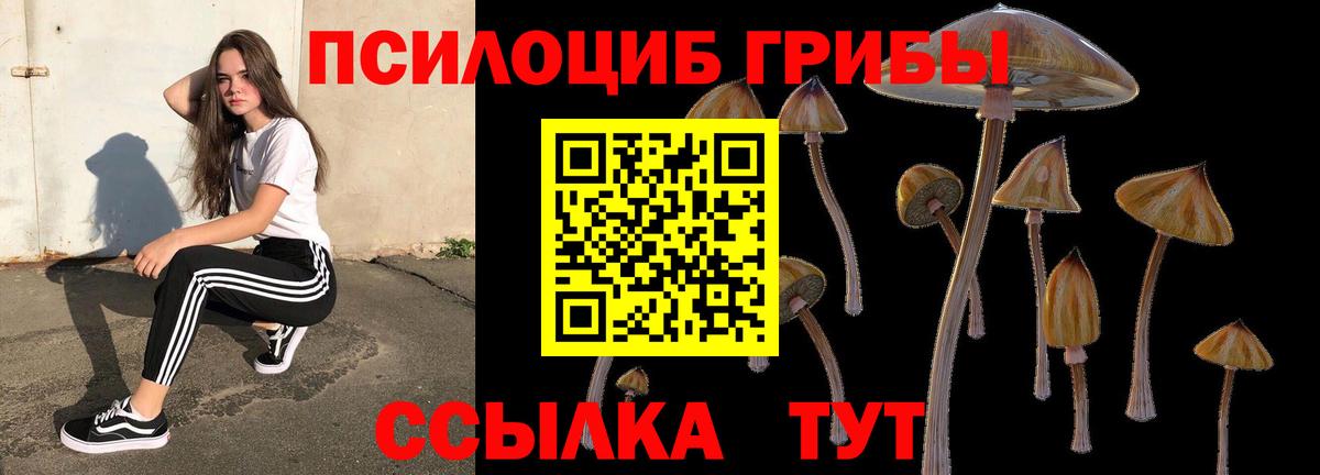 Галлюциногенные грибы Magic Shrooms Балашиха